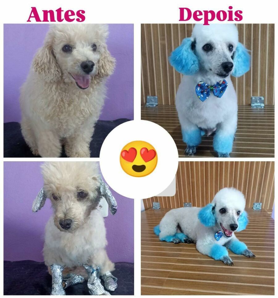 Imagem WhatsApp Image 2025-05-27 at 15.13.44 1